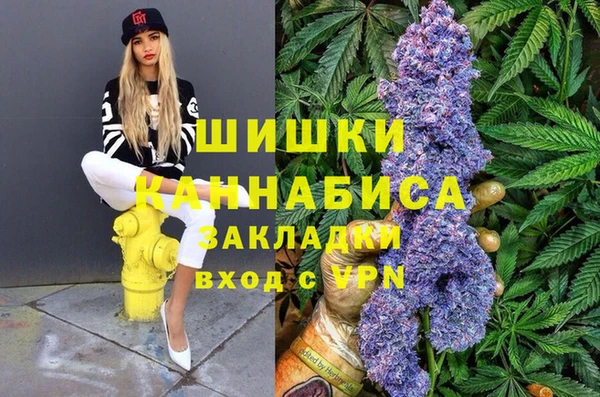 гидра Арсеньев