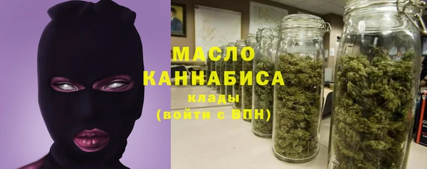 гидра Арсеньев