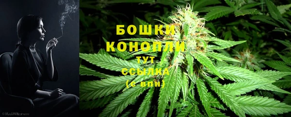 гидра Арсеньев