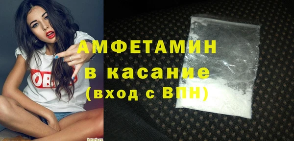 гидра Арсеньев