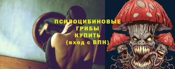 гидра Арсеньев